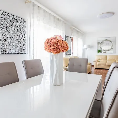 公寓 Zdenka 罗维尼村