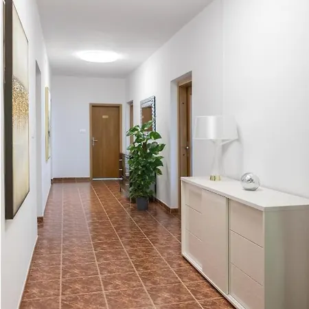 Zdenka * 罗维尼村